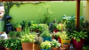 como-fazer-jardinagem-organica-facil-em-casa