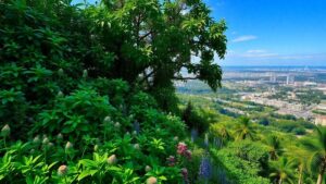 como-fazer-jardinagem-em-telhados-verdes-agora