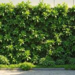 como-fazer-jardim-vertical-autoirrigavel-com-pet